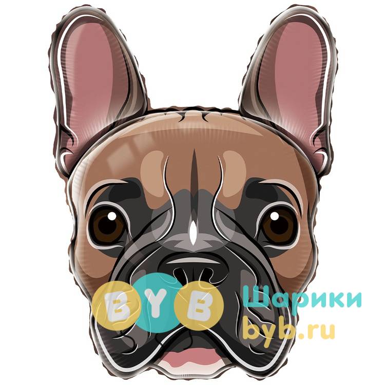 Шар-ФИГУРА "Собака бульдог"