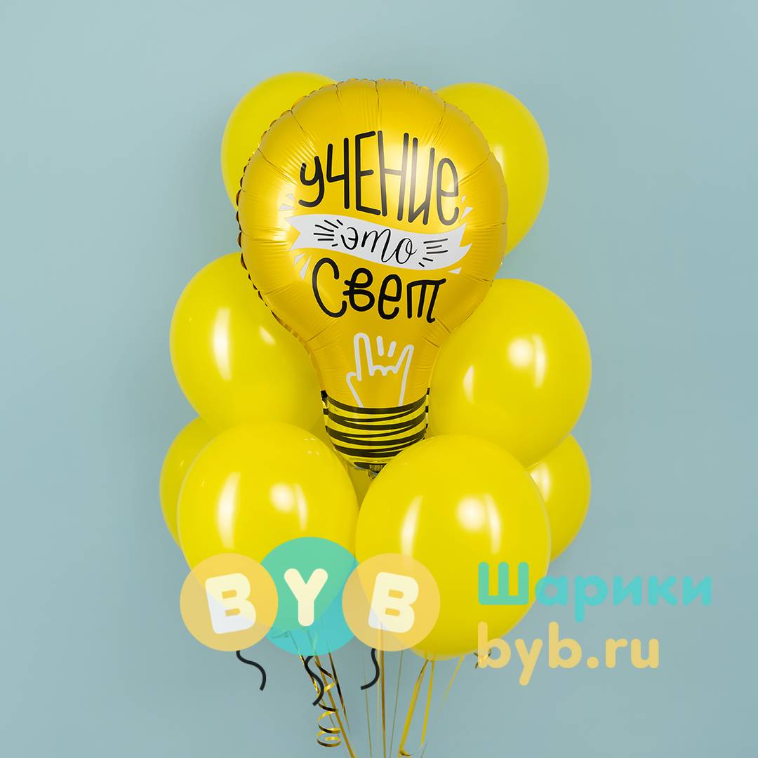 Фонтан из шаров "Ученье-свет"