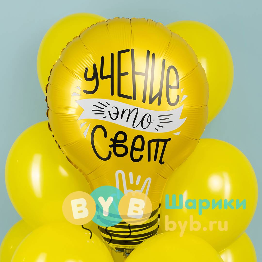 Фонтан из шаров "Ученье-свет"