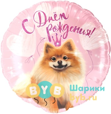 Шар фольгированный "С Днем Рождения! (шпиц)"