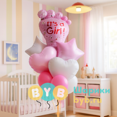 Шары в роддом для девочки 1730-12584