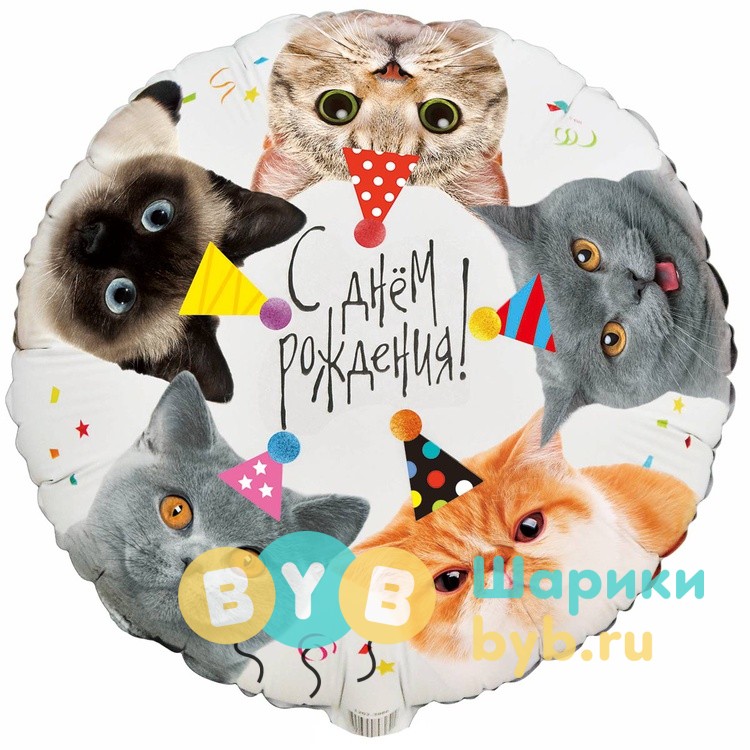 Шар фольгированный "Котики фотографичные"