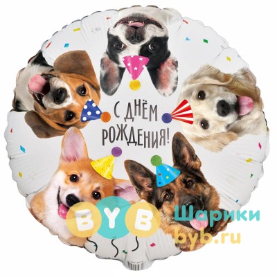 Шар фольгированный "Собачки фотографичные"