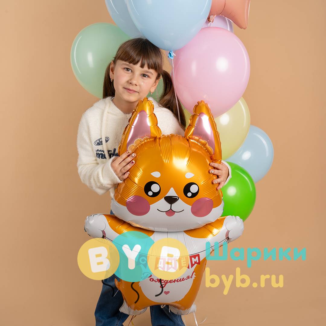 Шар фольгированный "Корги на День Рождения"