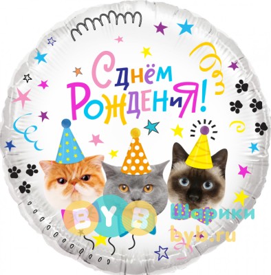 Шар фольгированный "Котики, С Днем Рождения!"