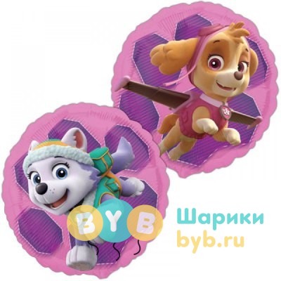 Шар фольгированный "Щенячий Патруль Скай и Эверест"