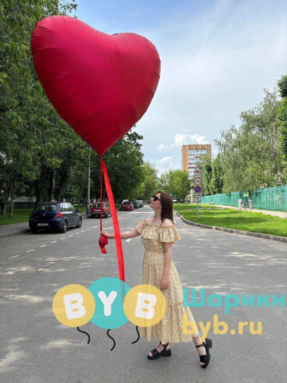 Сердце-гигант