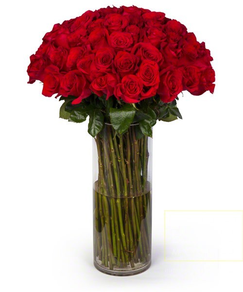 Красные розы длинные. Букет длинных красных роз. Вазы для роз длинные. Ваза для большого букета роз. Букет высоких роз.
